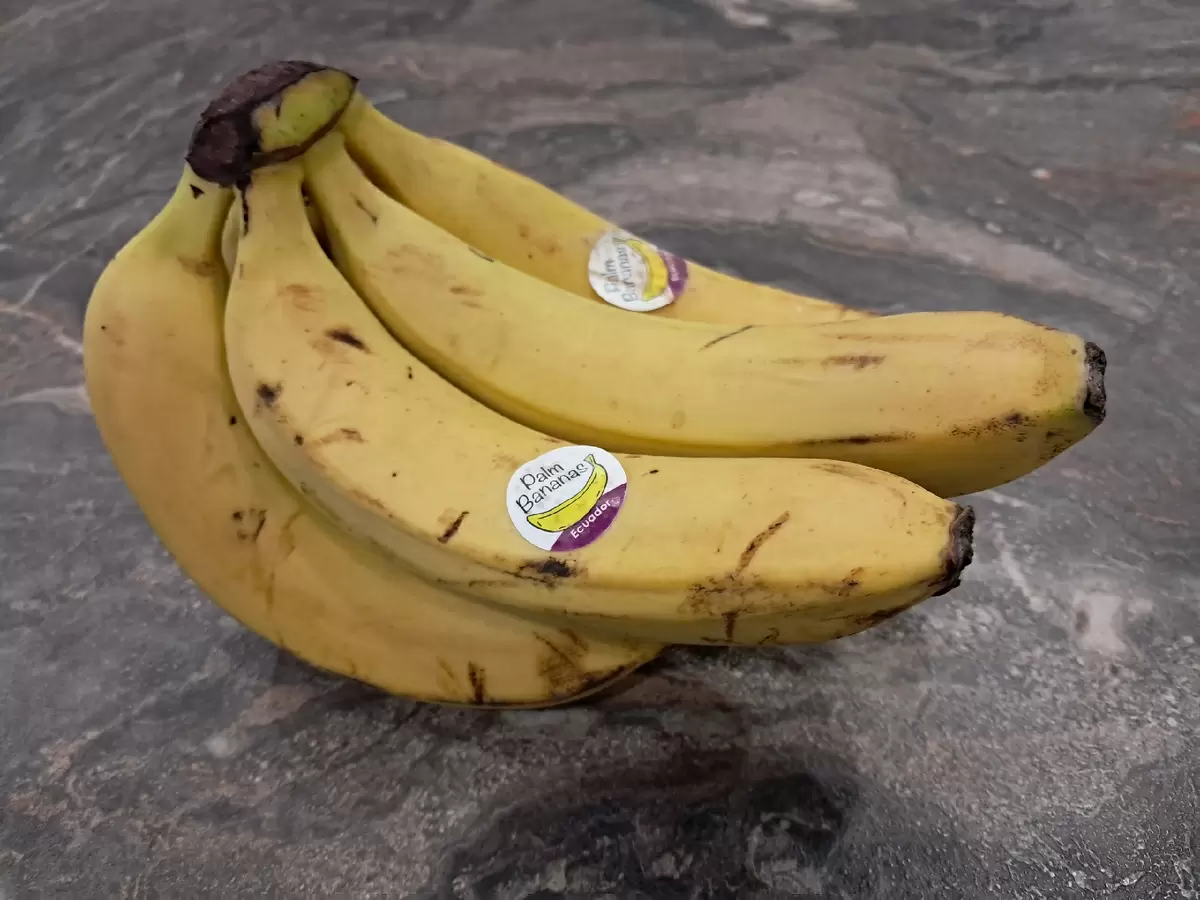 Преобразуем отходы в зелёное золото: три уникальных рецепта для растений