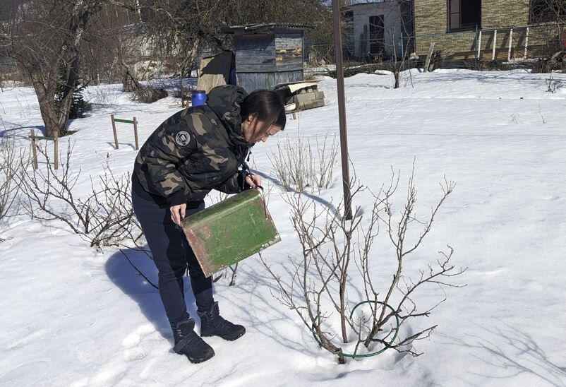 �������� ���� �� ����������: ��� ������������� ������� � ���������� ���������� � ������� ������� ����