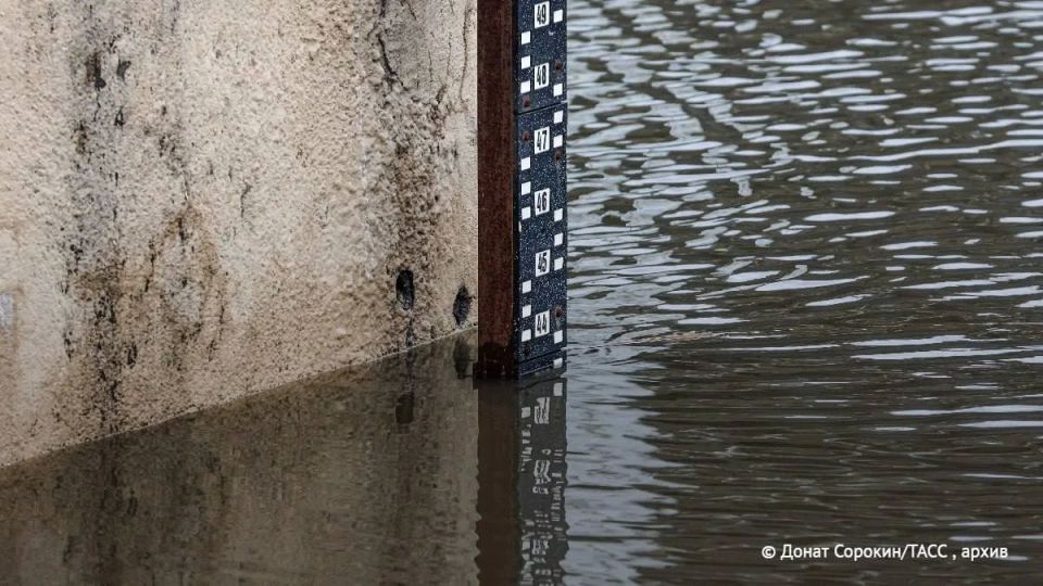 ������ ����� �������� �������� � ��������� ���� � ����� ��� � ������ ����, �������� ���� � �� ��� �� �������