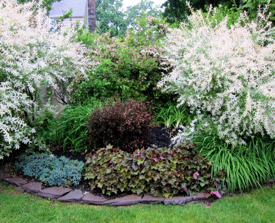 ��� ������� ��������� �������� ��� ������ ������� �������