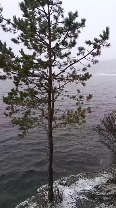 ��� �������, � ��� ����-����� �������� ��������� ������ ������