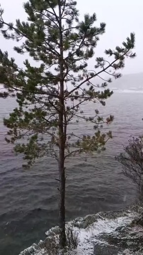 Еще немного, и эта серо-белая картинка расцветет пышным цветом