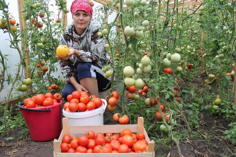 ��� �������� �������������� ������� � �������