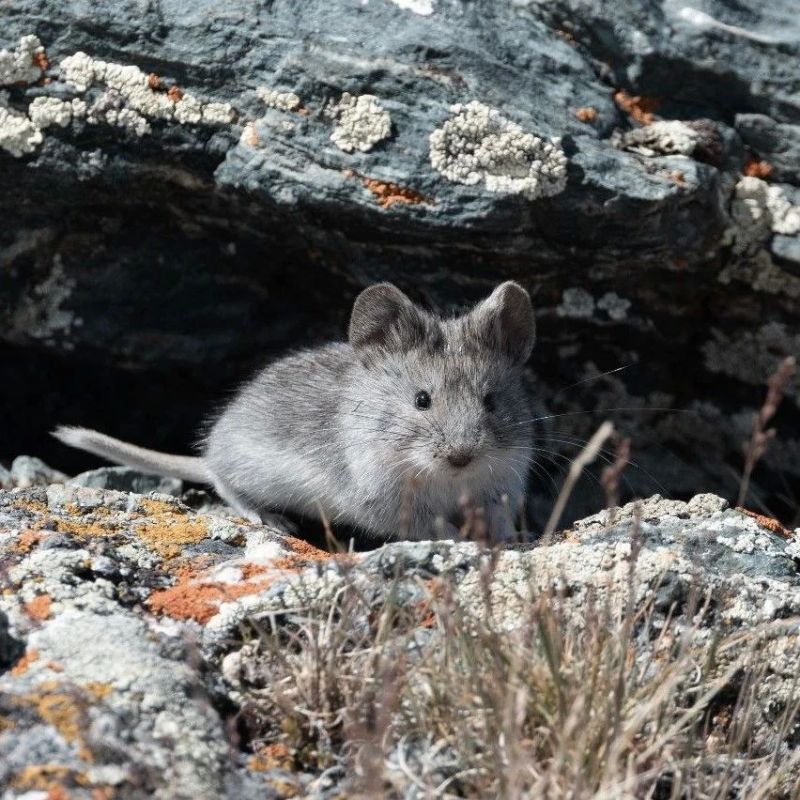 ���������� � ���� � ����� ������ �������� ����-������ �������, ������� � ��������� � ��� ������