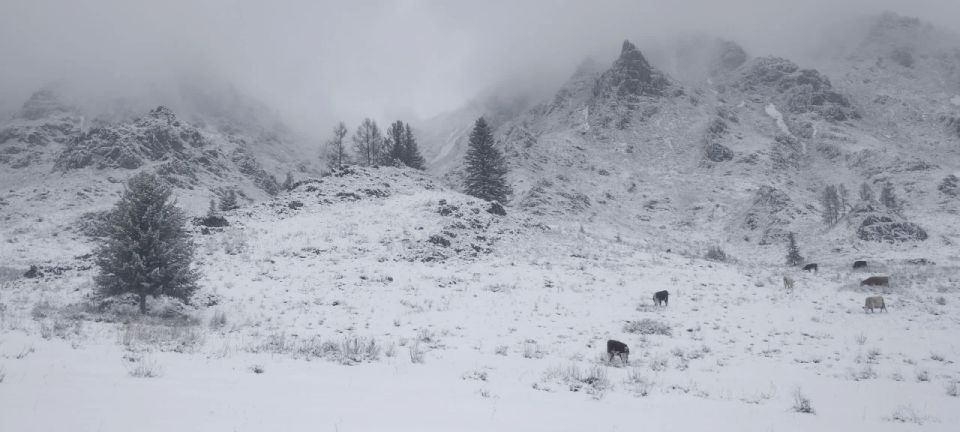 � ������������ �������.. ����: ������� �������