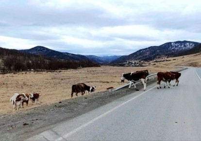 12 ������ �� �������� ���������� ��������� ����� ������� � ���� ������������ ������, �������� �������������