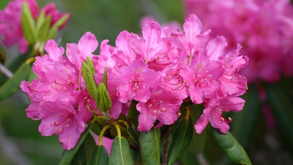 ��������, ������� ������� ��������� ���� �� ������ �����