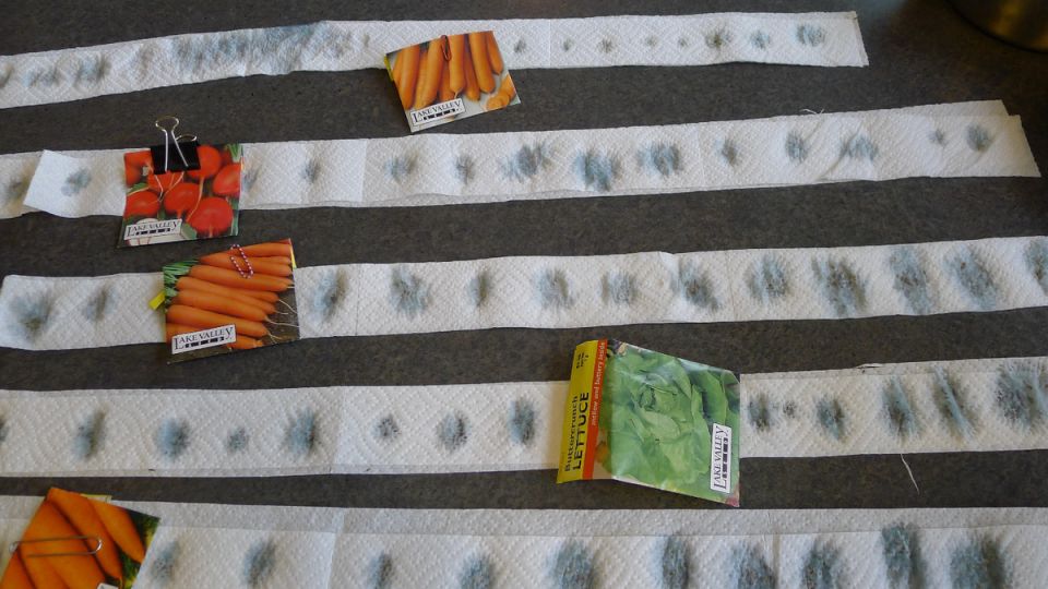 ��������� ����� �������: ������ ������ ������� � ������� �����