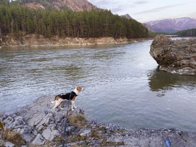 #���������������. *** �� ���� ������ ������� �����