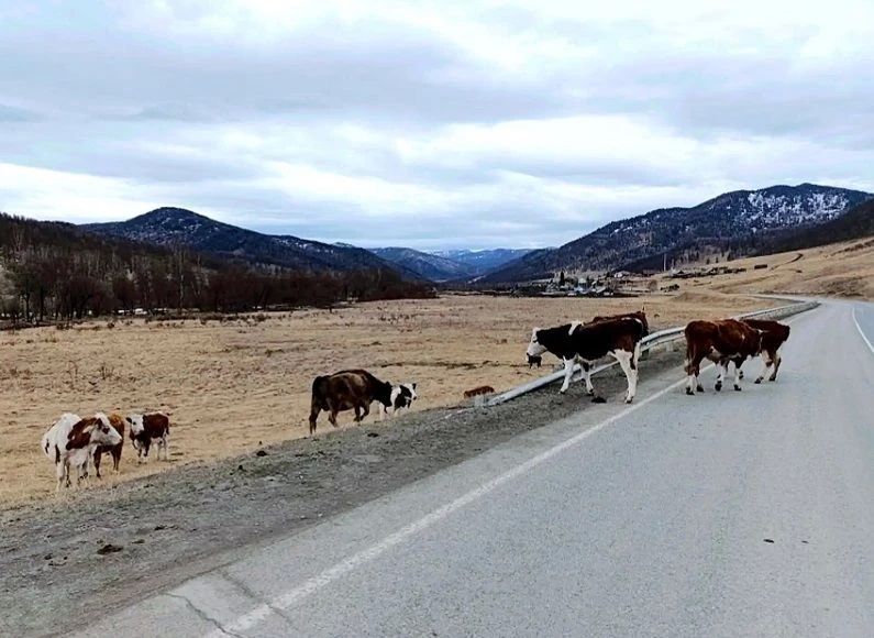 � ����������� ������ ������� ���� �� ����� �������, �������, �������� � �����, ������������ �� �������� ��������� �����, ������� ������������ ��������� ��������� �� �������