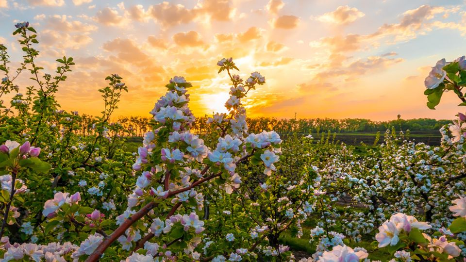 ��� ��������� ����������� ��� � �����: ������� ��������� ������ ������