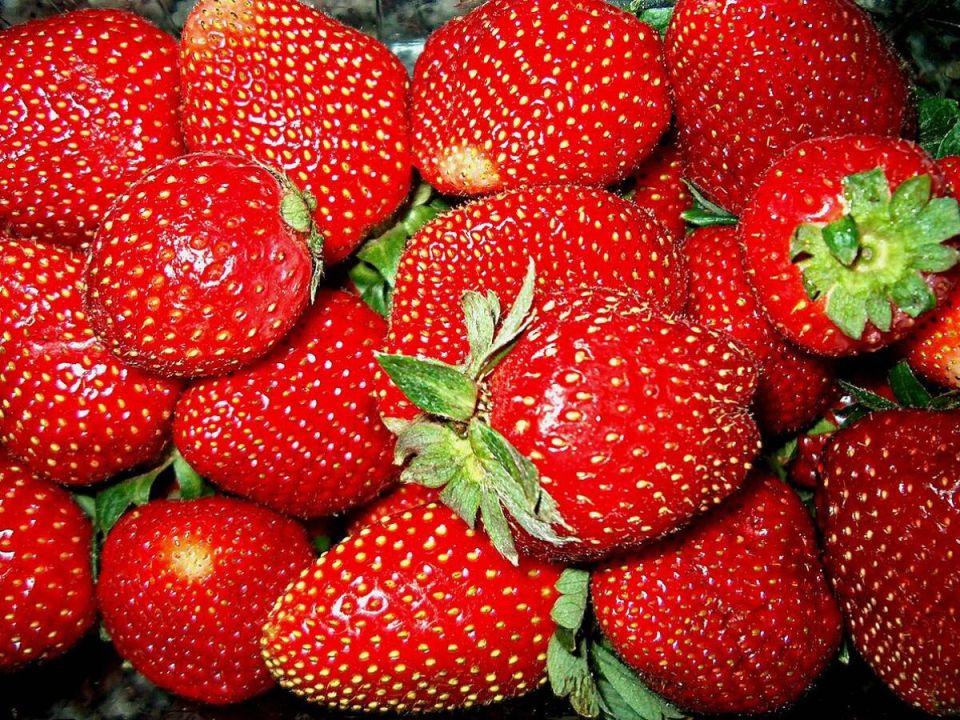 ��� ��������� �������� ������: ������� ��������� �����