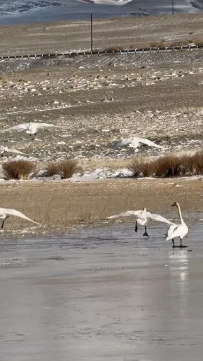 ���-�������� �����, ������� �����