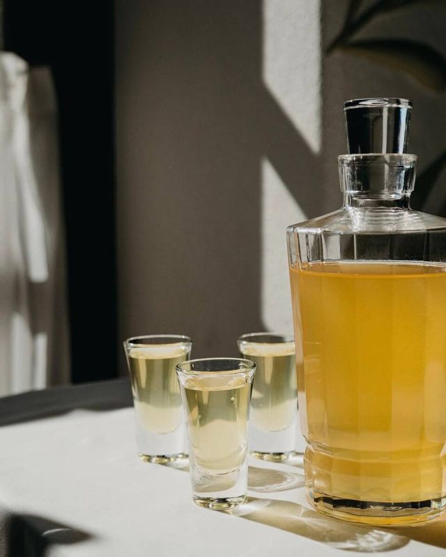 ������ ������� ��� ����: ��� ��������� ��������� Novikov Group