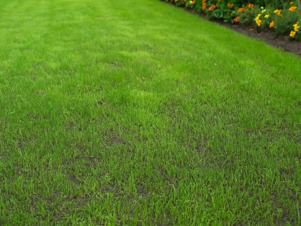 ������ ����� ������: ������� ��������� ������ ��� ��������� ������