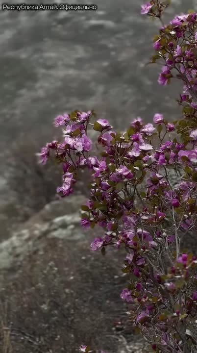 �����, ����, �����, �� ���������� �� ����� � �����, �������� �� �� ���