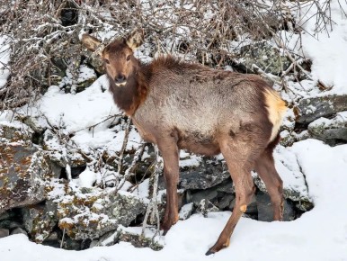 ������! � ��������!. . ����: ����� � ������� ���������