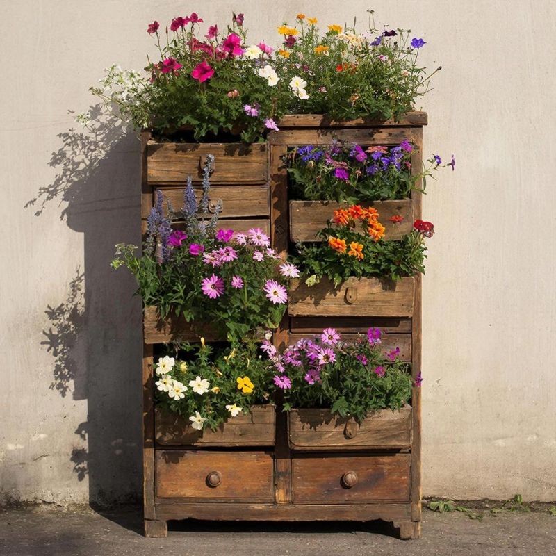 ����� ������ �� ������ �����: ��� ������� ��������� ���������� � ����� ����