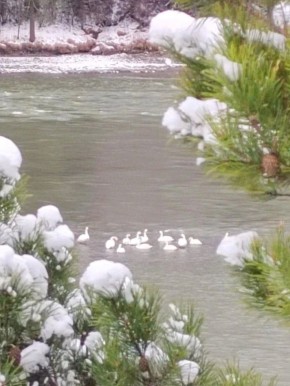 ���� ����� ������� �������� �� ������