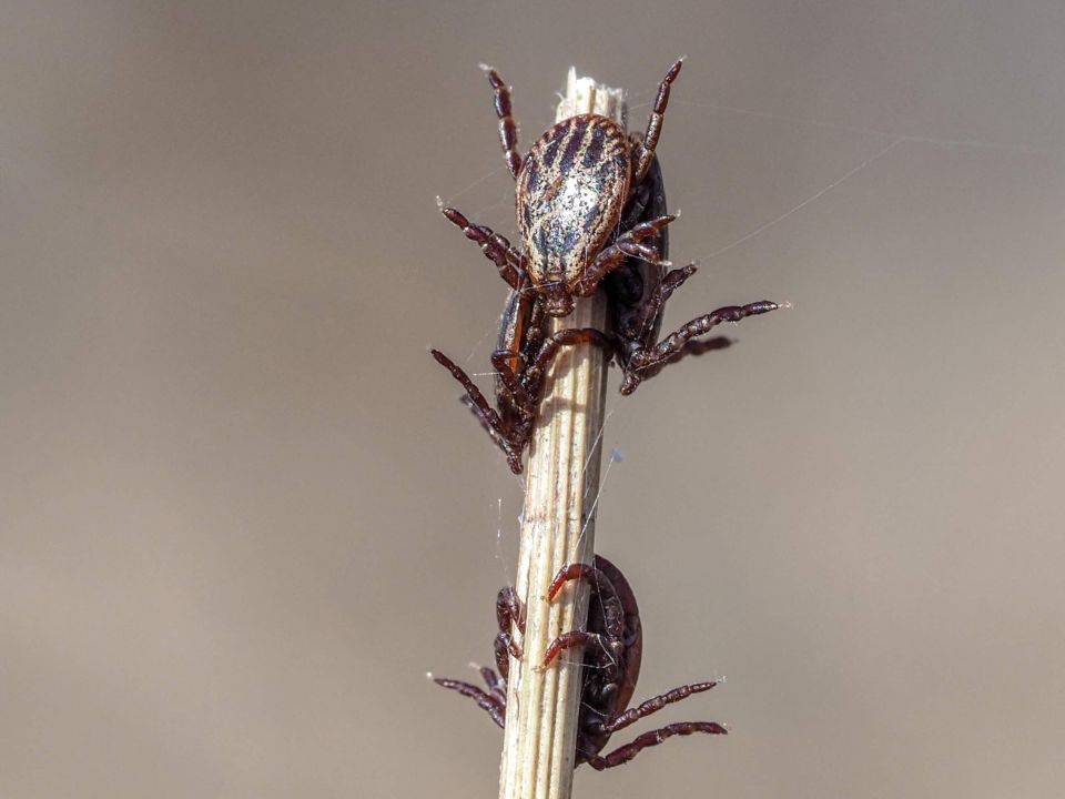 �������� ����� ���������� �������, �� ������� ������� �� ����