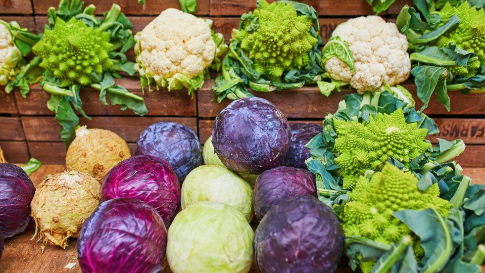 �������: ������������ ����� � �� ���������� ��������