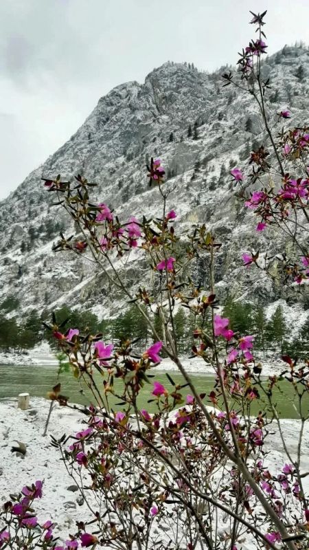 ����������� ����� ����������� - ����� �� ��������, ��� ����� � �����