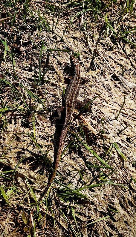 ���������� ������� ������ ���� � �������� ��������� �������� � �������������� ����������