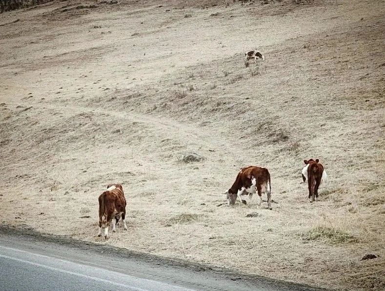 ��� � �������� ������ ��������� ����� � ����������� ������