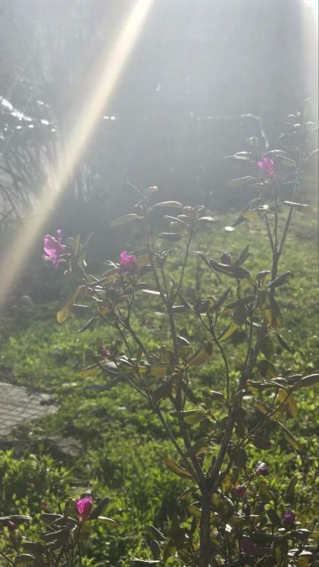 ������ ����! ���� ������� ���������