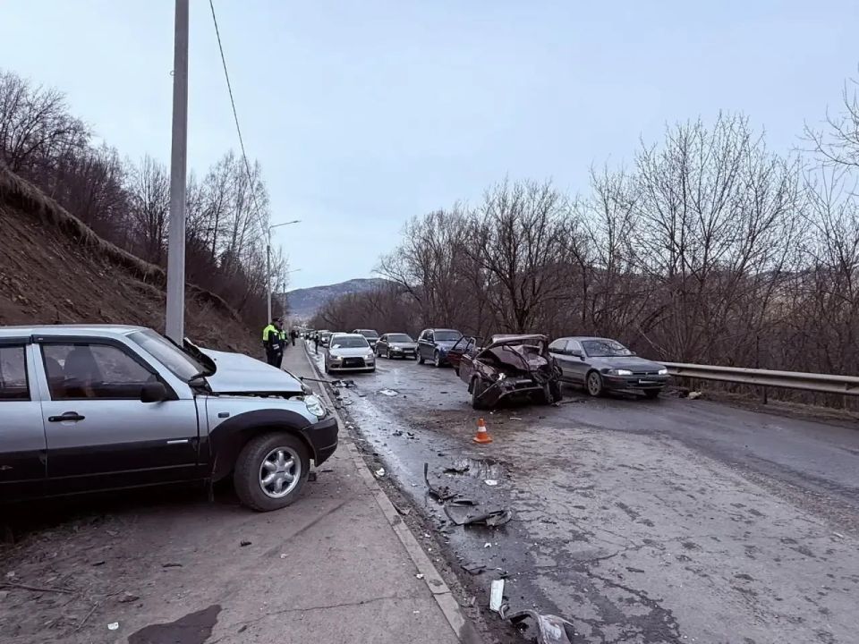 Ƹ����� ���� �� ������ � �����-�����: ����� �������� ����� ������� � ��������