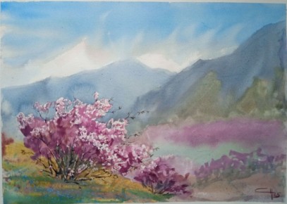 #���������������. *** ������������� �����