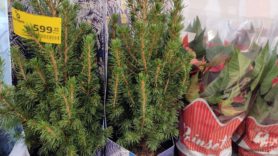 ������ ����� ����?������ �� ������ ����� �� ����� ��� � ����� �������� ��������