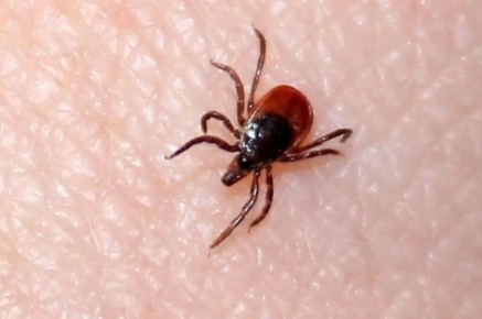 � ������ ������ � ���������� �� ������ ������ ���������� ����� 230 �������