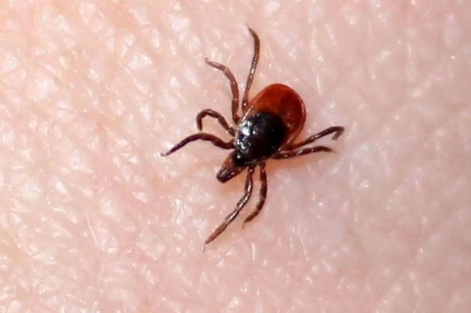 ����� 230 ������� ����� �������� ������ ������ � ���������� ����� � ������ ������