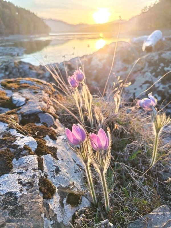 ������ �����. ���� �� ����������