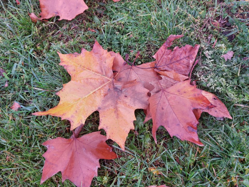 ��� �������� ������� ������: ������������� ���� ��������� ���