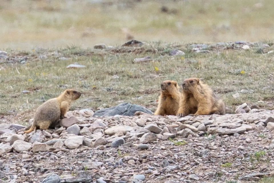 ������� ������� � ����� ��� ������? ��� ������� ��������, ����������� ���� ����� ��������? ��� �������?