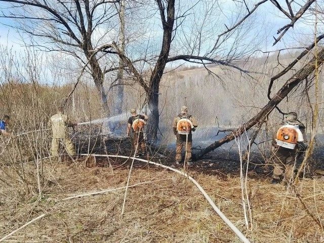 50 ����� �������� � ������ ��������� � �����-�������� � ���������� ������� �������