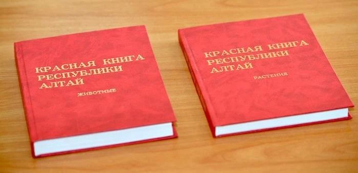 ����� ������� ����� ������� � ���������� �����