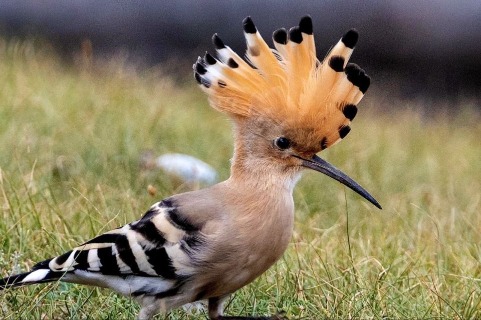 �����-���������: ���� �� ������� ���� ������� �����