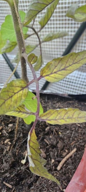 ��� �������� �������� ���� �������� ����������� ������� � �������