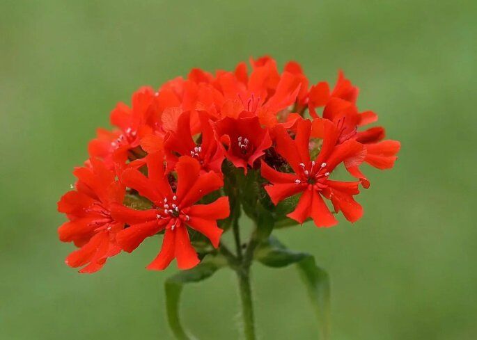 ����� ������� ������ ��� ����� ������ � �������