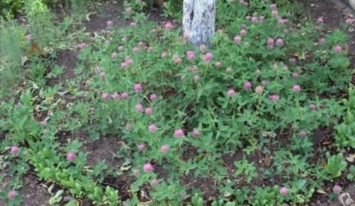 �������� � ����: ��� ��������� ������� ������� ��� ��������