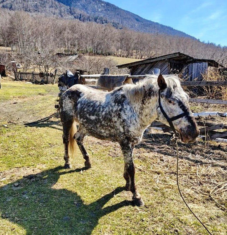 � ��������� ����������� ���������� ��������� ������� ��� ������ � �����