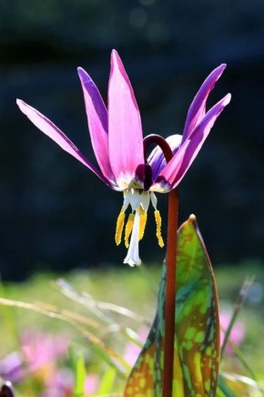 ������� � ����� �� ��� ��������! � ��������� ����������� ����� ������� ������ ������ ���������