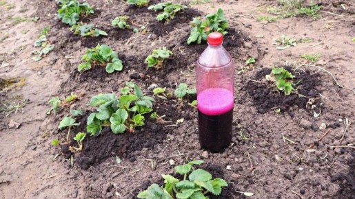 ������� �������� ��������� ��������: ��� ����������� ������� ������� ������� ������