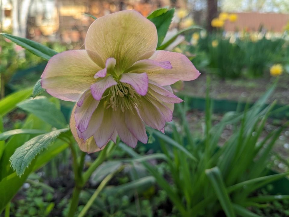 ��� ������������ ��������� ������ ���: ������ � ������������