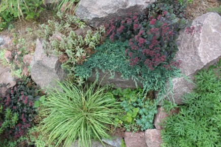 ������� ����� ��������