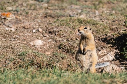 ���� ��������� ������� ������ ������ �� ���������!