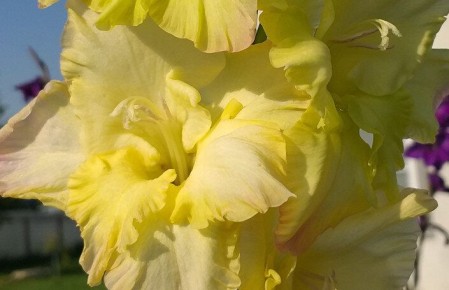 ��� �������� ���������� ���������: ����������� ������� ��������� �����������